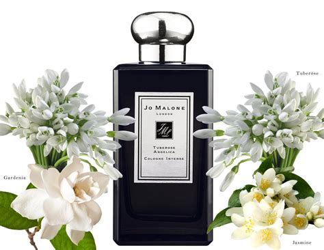 angelica perfume|tuberose angelica cologne.